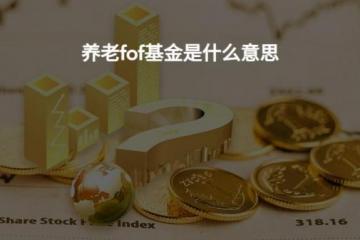 养老投资基金为什么是FOF
